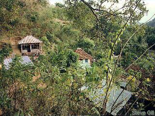 [Pic: Suati's place] 