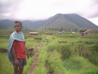 [Pic: Farmer and Fields of Ruteng] 