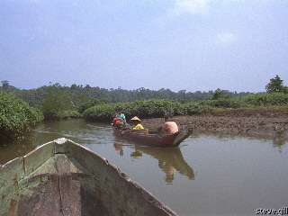[Pic: Mangrove boats] 
