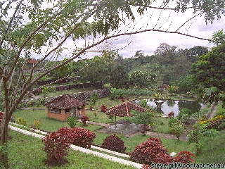 [Pic: Narmada garden] 