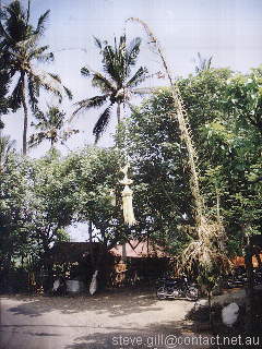 [Pic: Bamboo pole] 